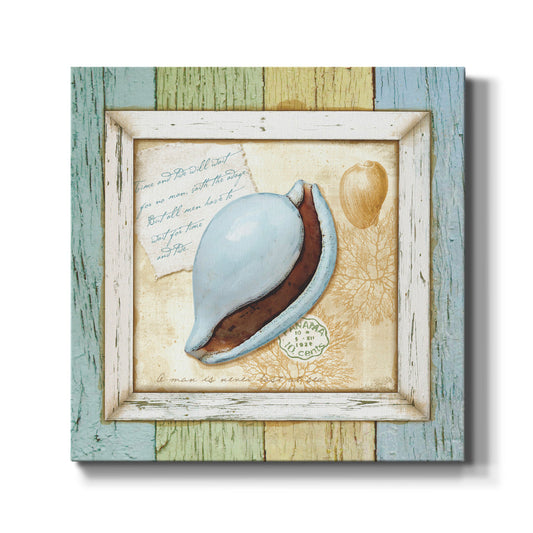 Sea Treasures IV-Premium Gallery Wrapped Canvas - Ready to Hang