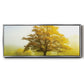 The Sentinel - Floater Framed Canvas Print