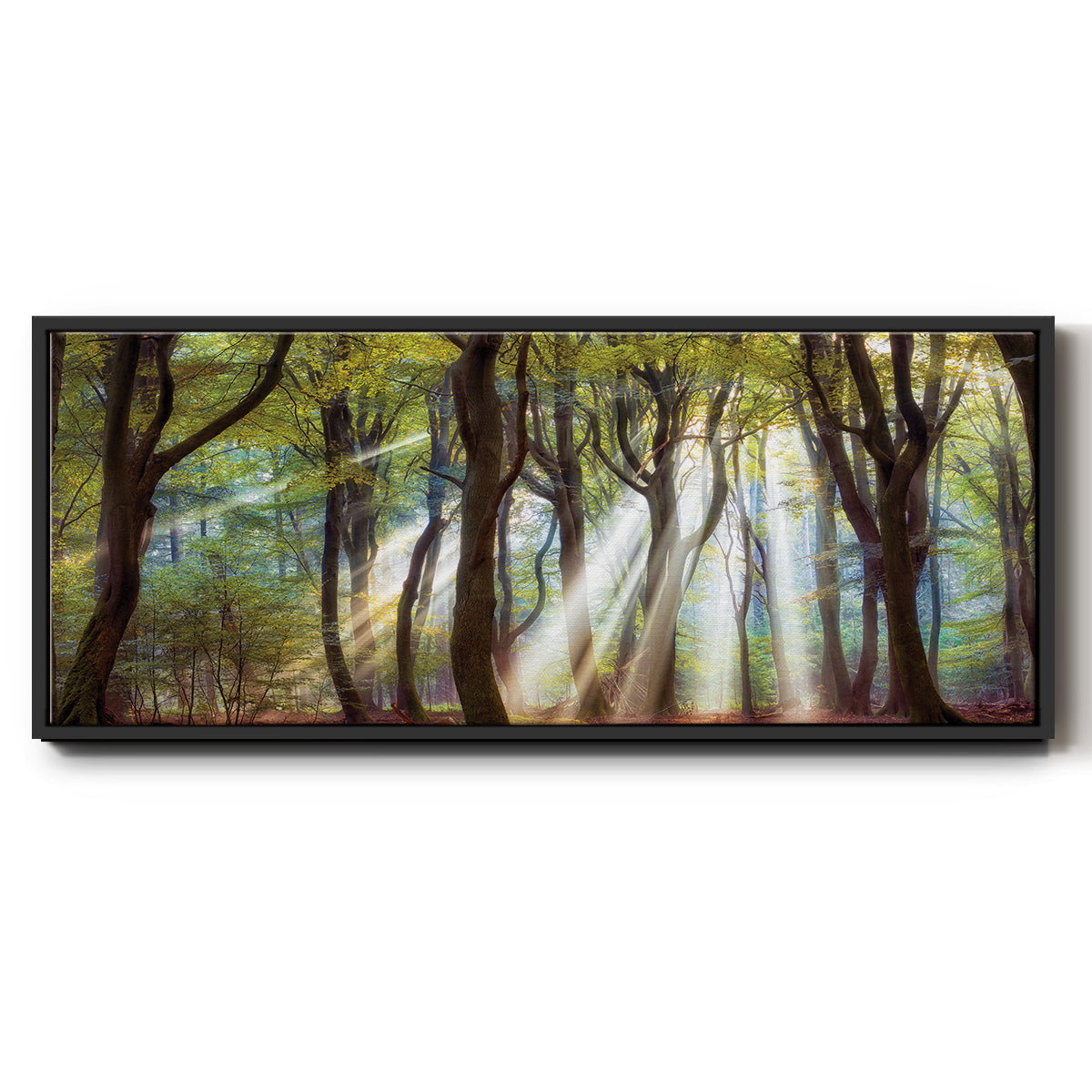 Majestic Morning - Floater Framed Canvas Print