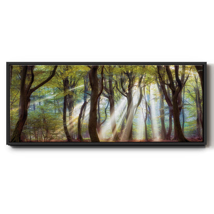Majestic Morning - Floater Framed Canvas Print