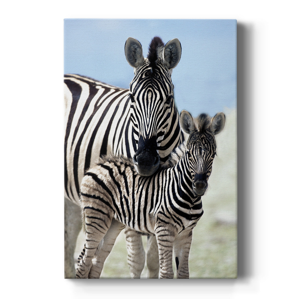 Family of Namibia Premium Gallery Wrapped Canvas - Ready to Hang