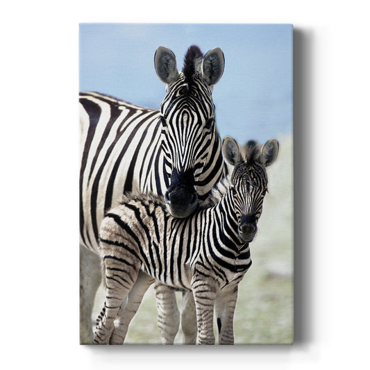 Family of Namibia - Canvas Art Print