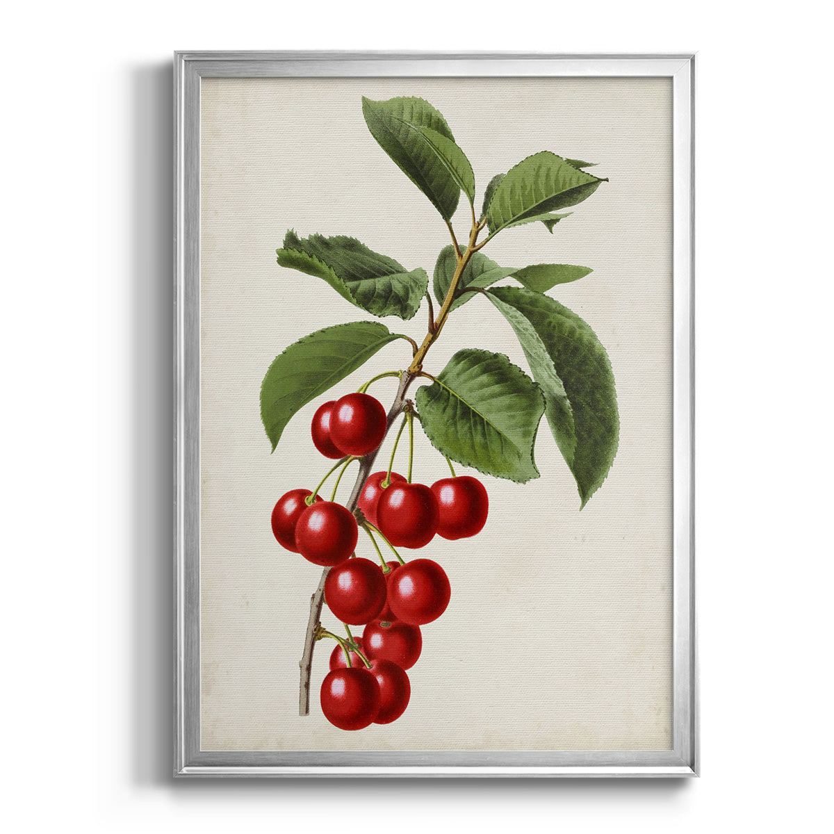 Antique Fruit II - Modern Framed Canvas Print