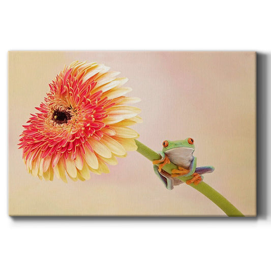 Hanging On IX - Canvas Art Print