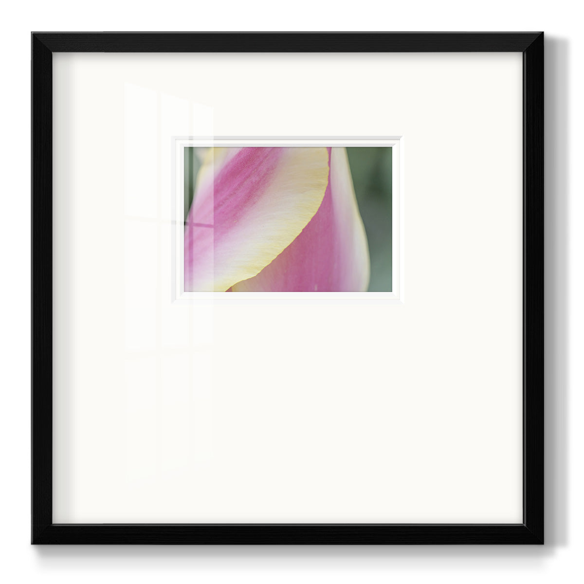 Delicate Premium Framed Print Double Matboard