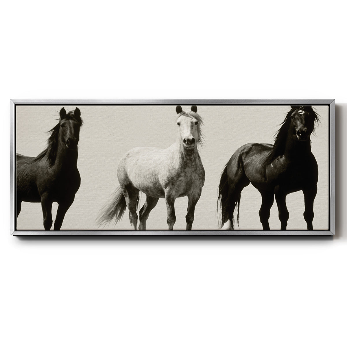Wild Stallions - Floater Framed Canvas Print