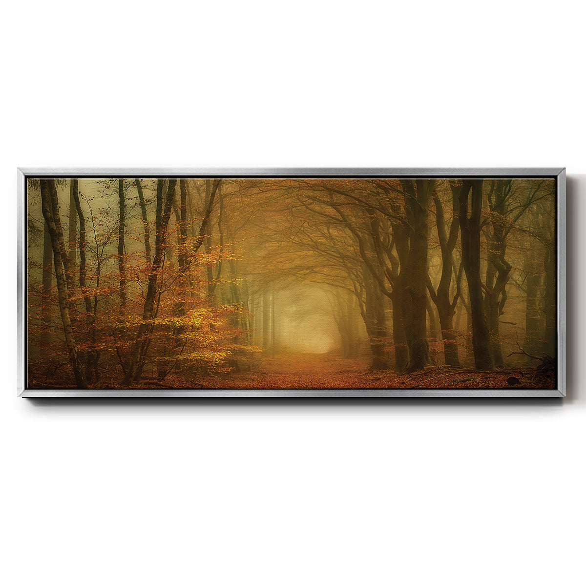 Early Light - Floater Framed Canvas Print