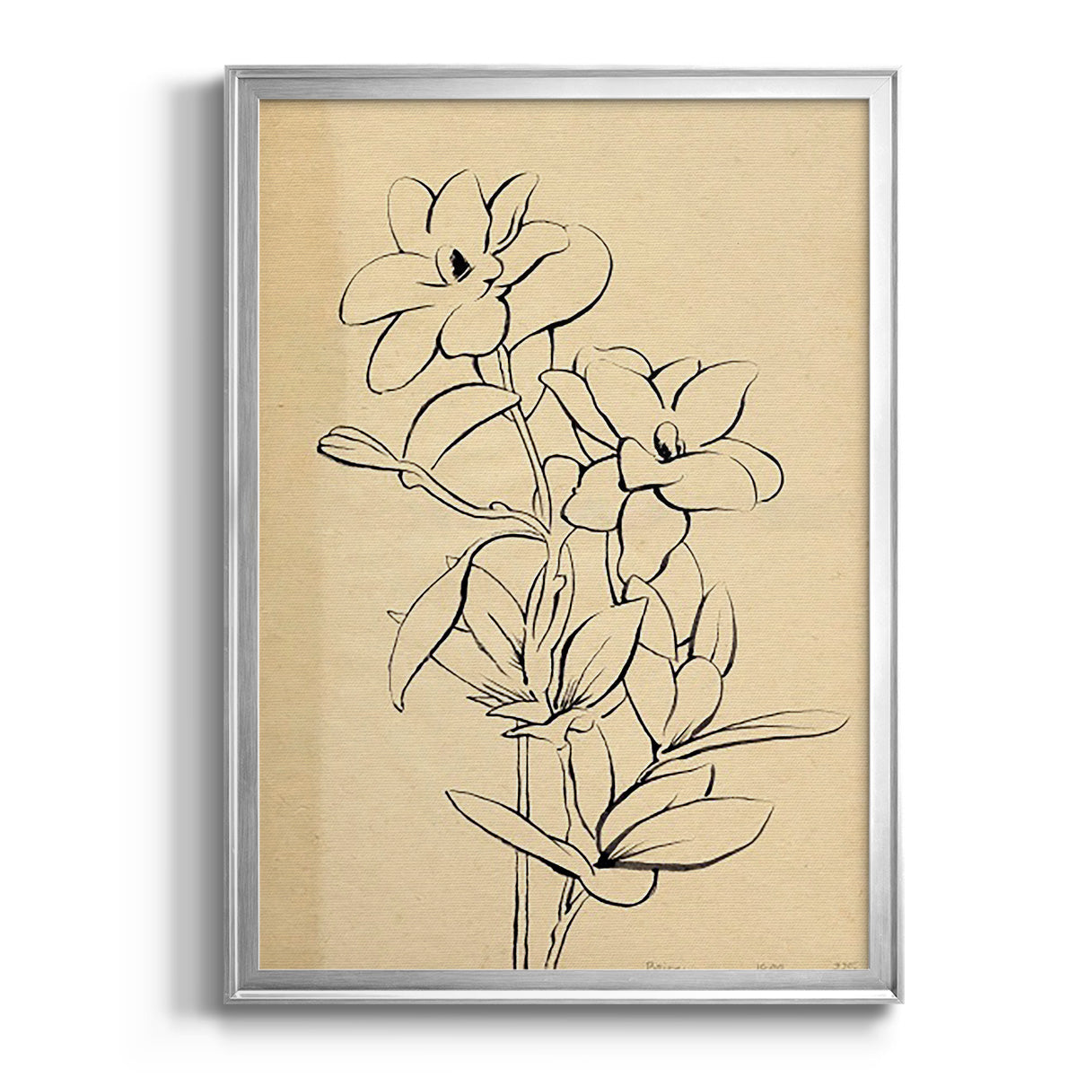 Magnolia Sketch I - Modern Framed Canvas Print