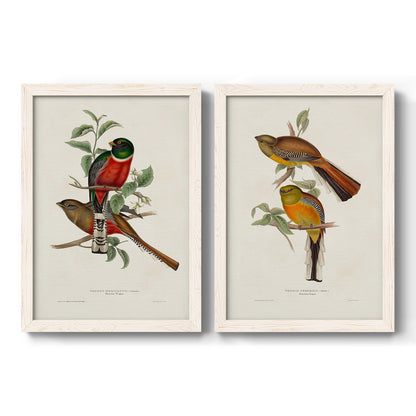 Elegant Trogons I - Premium Framed Canvas 2 Piece Set - Ready to Hang