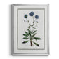 Soft Botanical II - Modern Framed Canvas Print
