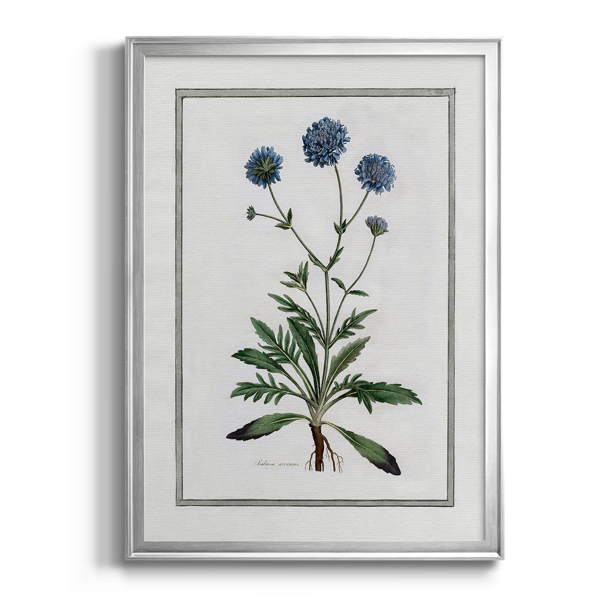 Soft Botanical II - Modern Framed Canvas Print