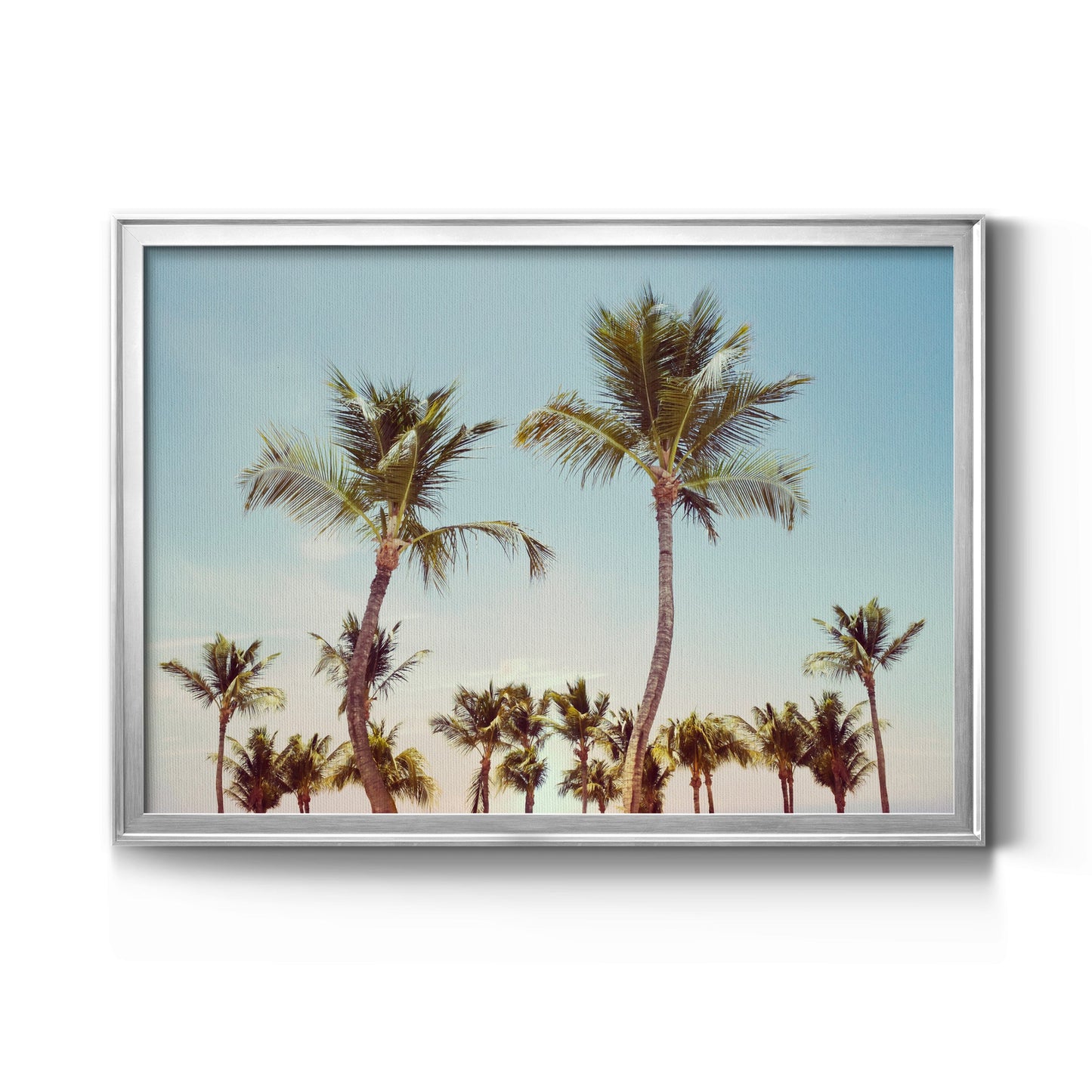 Aruba Palm - Modern Framed Canvas Print