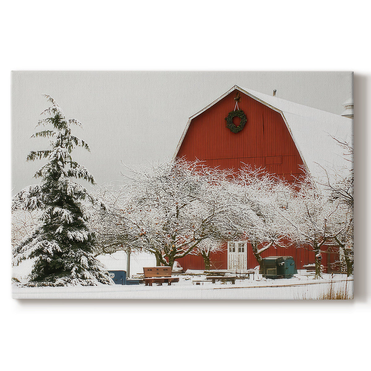 Mistletoe of Sugar Serenade - Canvas Art Print
