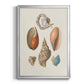 Knorr Shells & Coral I - Modern Framed Canvas Print
