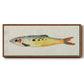Fanciful Fish I - Floater Framed Canvas Print