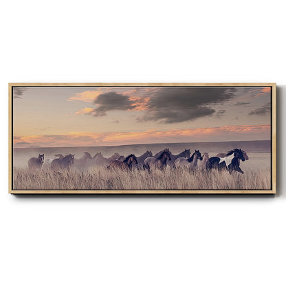 Wild and Free II - Floater Framed Canvas Print