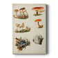 Mushroom Species X - Canvas Art Print