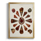 Spiral Shell Formation IV - Modern Framed Canvas Print
