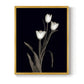 Tulip Pose I - Restickable Framed Art Print