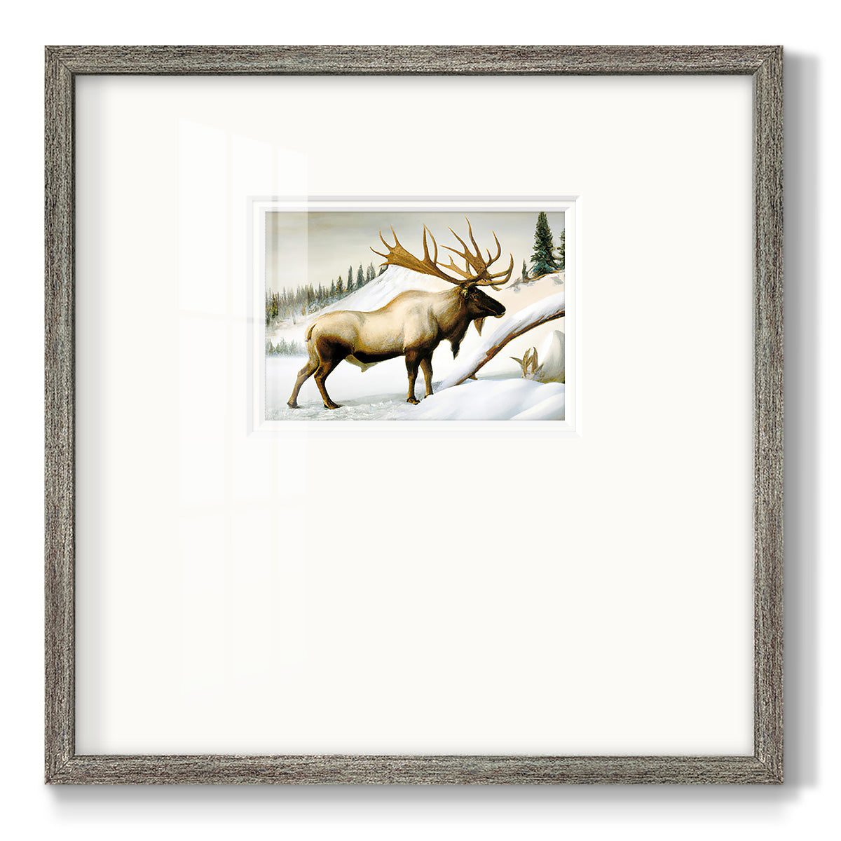 Snow Elk Premium Framed Print Double Matboard