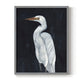 Calm Great Egret I - Restickable Framed Art Print