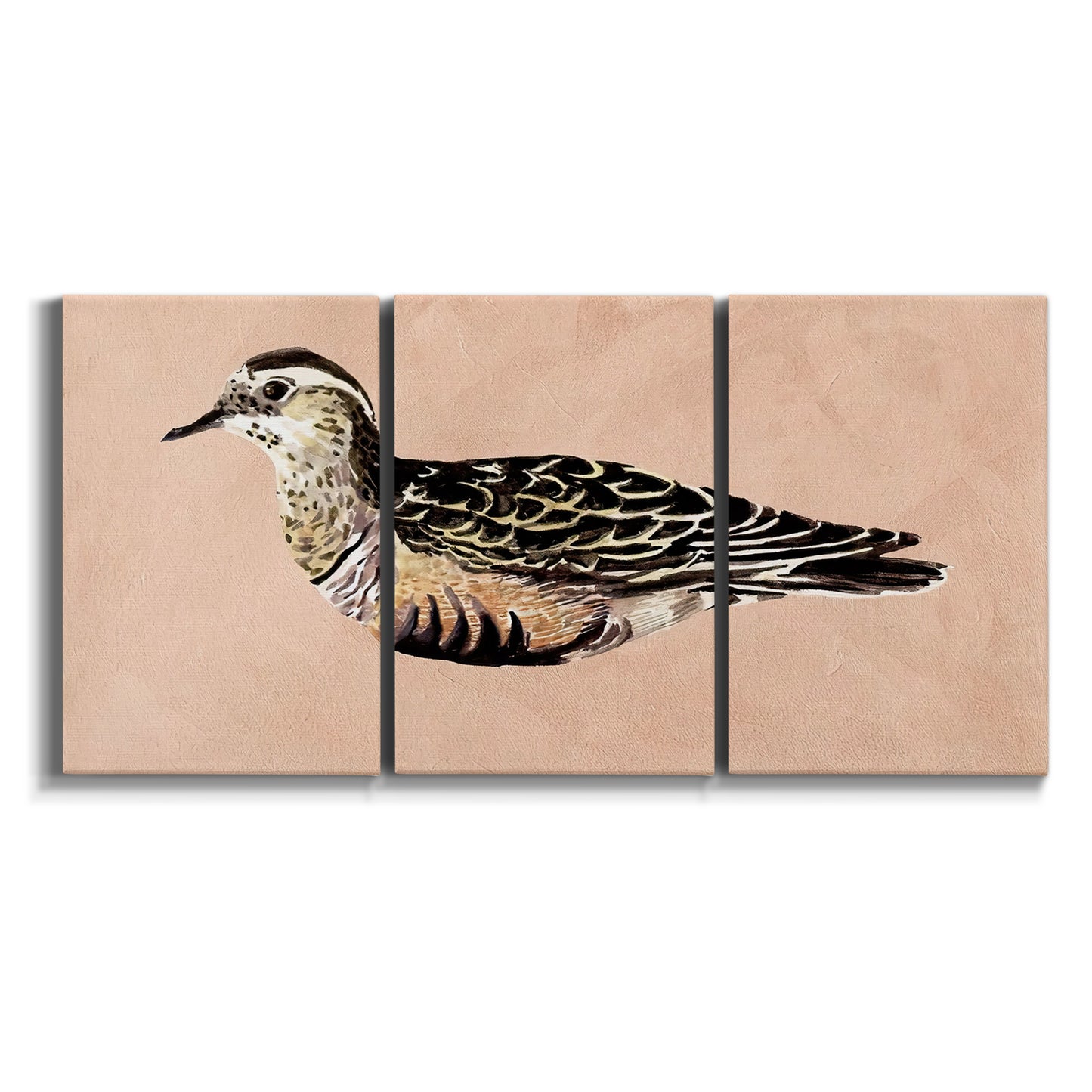Three-panel canvas wall art featuring coastal bird illustration on white background.