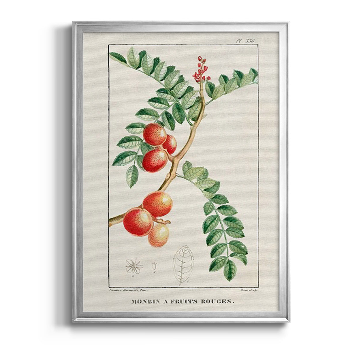 Turpin Tropical Botanicals III - Modern Framed Canvas Print