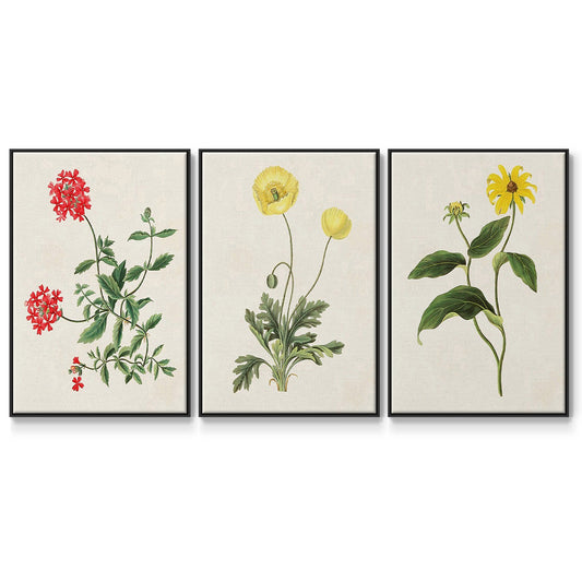 Flowers of the Seasons X - Floater Framed Canvas Set