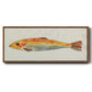 Fanciful Fish II - Floater Framed Canvas Print