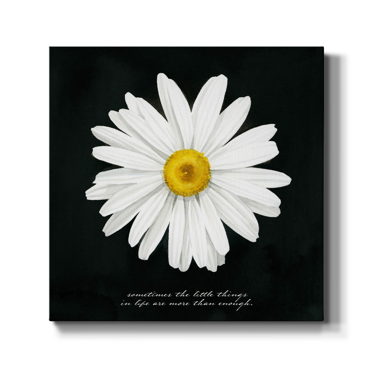 Delicate Daisy I - Canvas Art Print