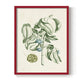 Buchoz Tropicals V - Restickable Framed Art Print