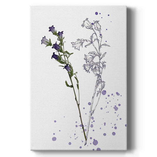 Botany Flower II Premium Gallery Wrapped Canvas - Ready to Hang