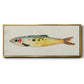 Fanciful Fish I - Floater Framed Canvas Print