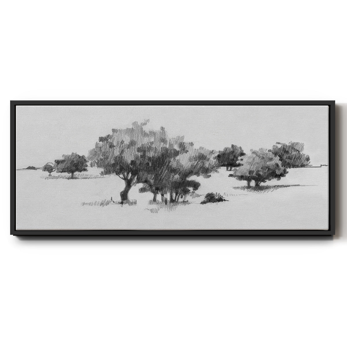Treeline Sketch II - Floater Framed Canvas Print