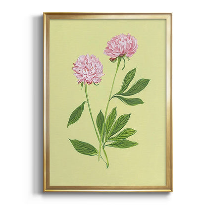 Peonies in Yellow II - Modern Framed Canvas Print