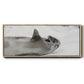 Laughing Seal - Floater Framed Canvas Print