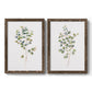 Eucalyptus I   - Premium Framed Canvas 2 Piece Set - Ready to Hang