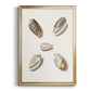Pastel Knorr Shells III - Modern Framed Canvas Print