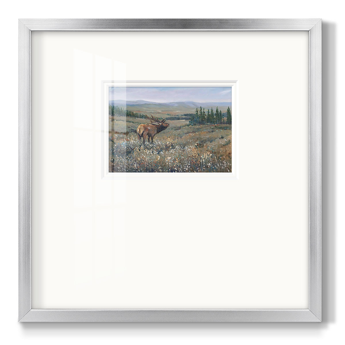 Western Wildlife I - Double Matboard Framed Print