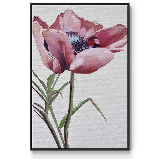 Paris Poppy - Floater Framed Canvas Print