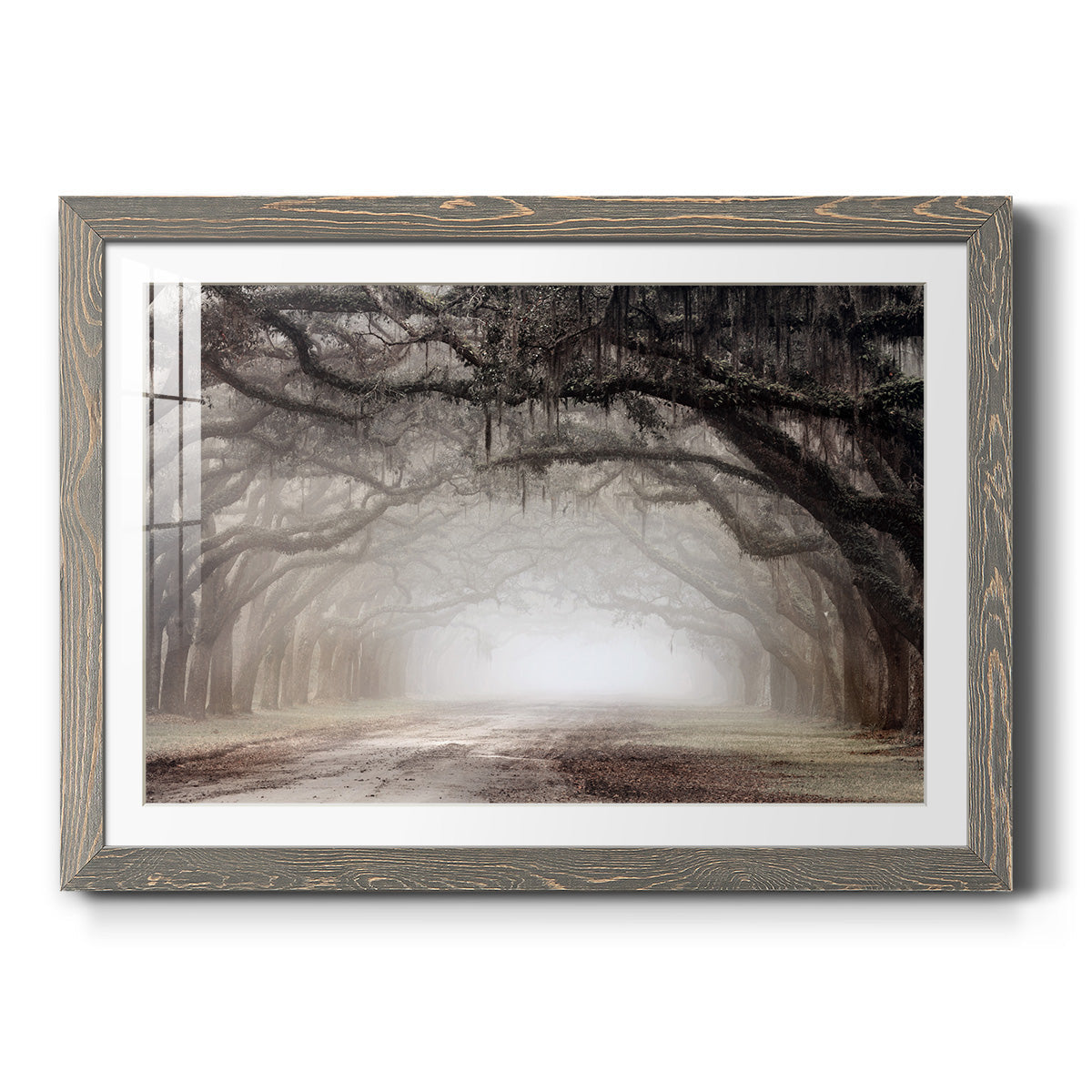 Timeless Plantation Drive - Barnwood Framed Art Print