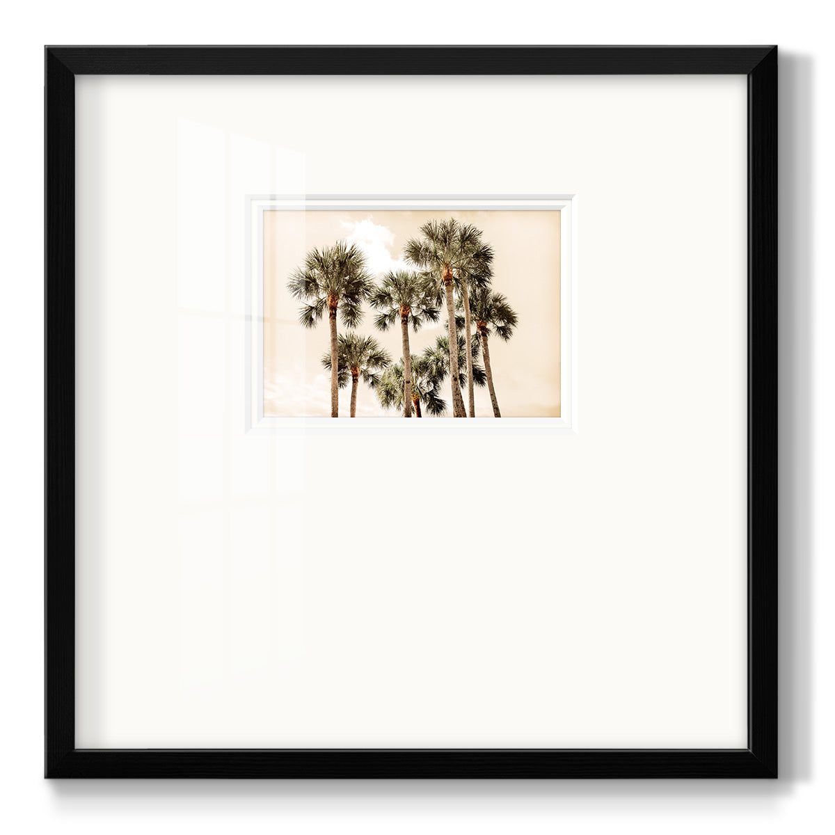 Blushing Palms Premium Framed Print Double Matboard