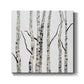 Birch Trees II-Premium Gallery Wrapped Canvas - Ready to Hang