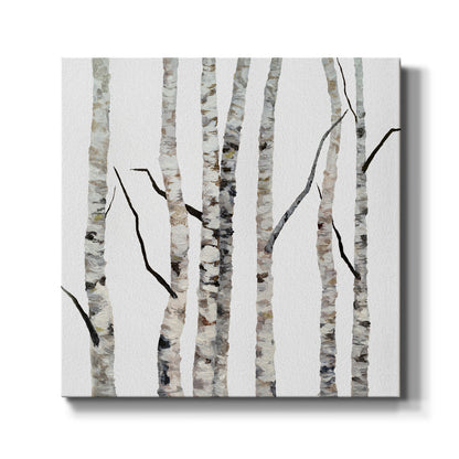 Birch Trees II - Canvas Art Print