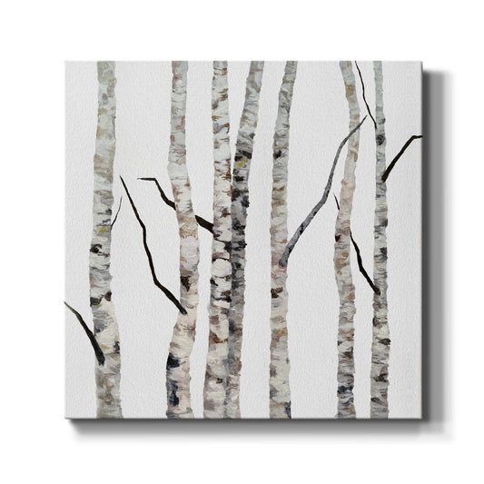 Birch Trees II-Premium Gallery Wrapped Canvas - Ready to Hang