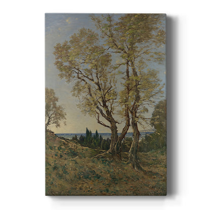 Canvas art print featuring a realistic landscape of olive trees under soft daylight with muted natural tones on a clean white background.