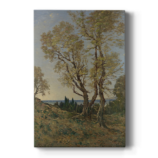 Canvas art print featuring a realistic landscape of olive trees under soft daylight with muted natural tones on a clean white background.
