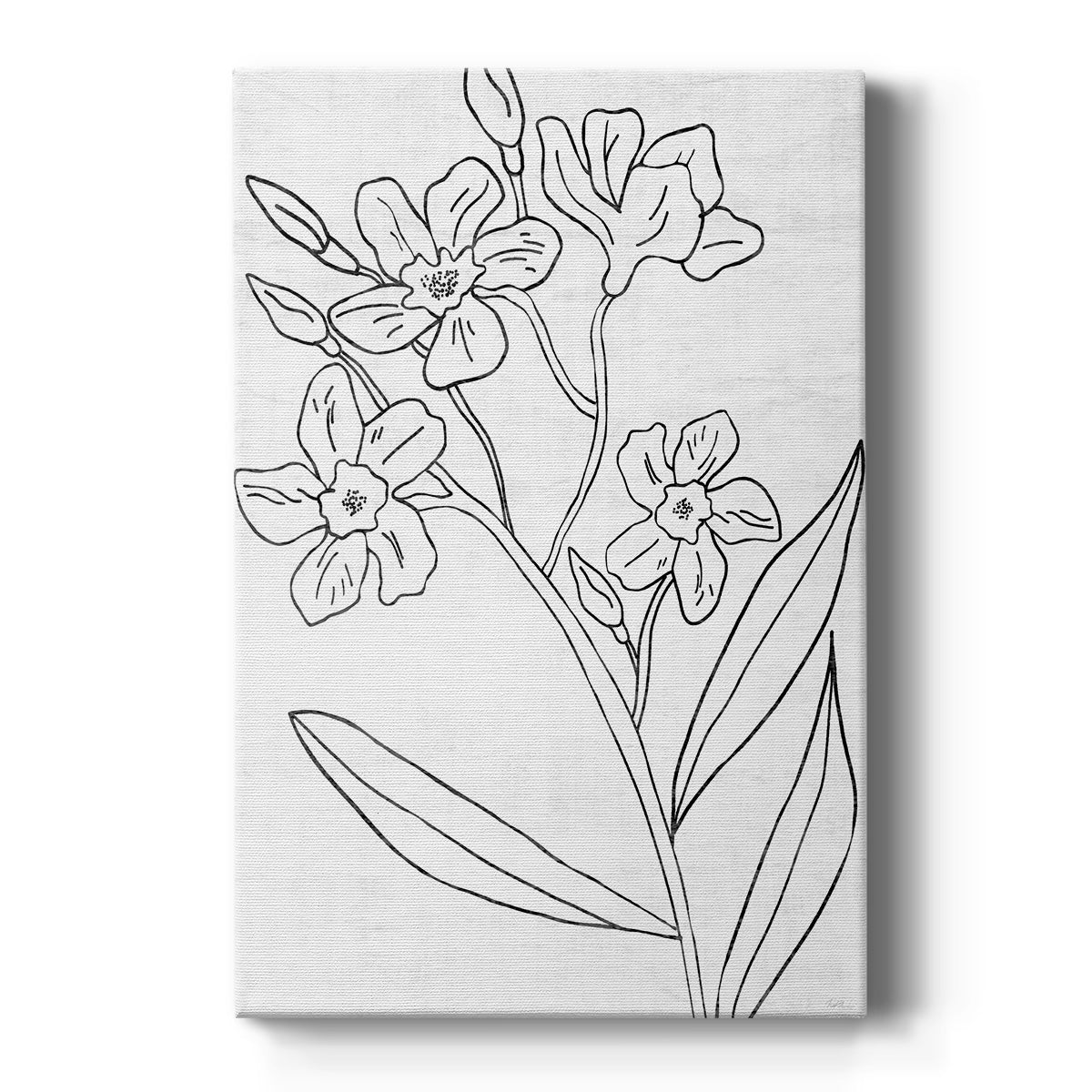 Botanical Sketch II Premium Gallery Wrapped Canvas - Ready to Hang