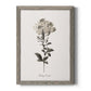 Sketchbook Leadwort - Premium Canvas Framed in Barnwood - Ready to Hang