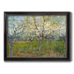 Orchard With Blossoming Apricot Trees - Ornate Framed Canvas Print